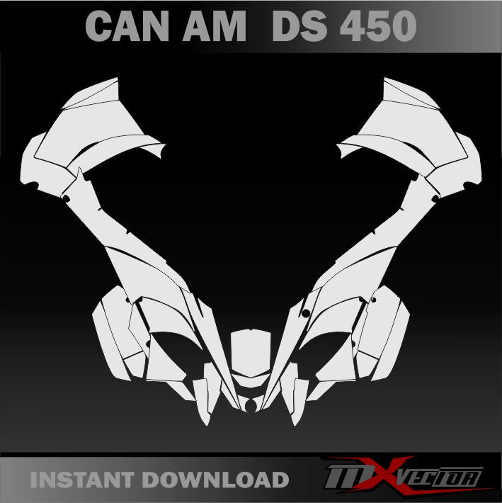 CAN AM DS 450