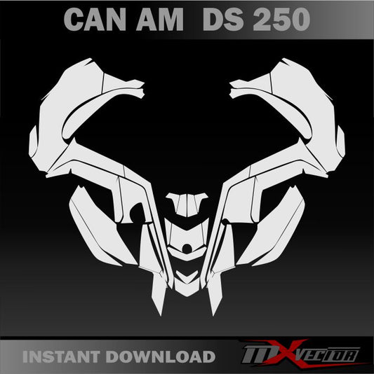 CAN AM DS 250